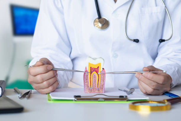 Best Pediatric Emergency Dentist in Elkhart Lake, WI